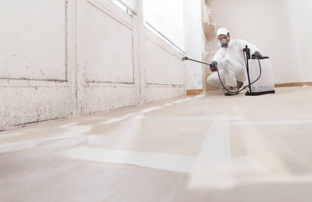 24/7 Emergency Mold Inspection experts in Port Angeles, WA