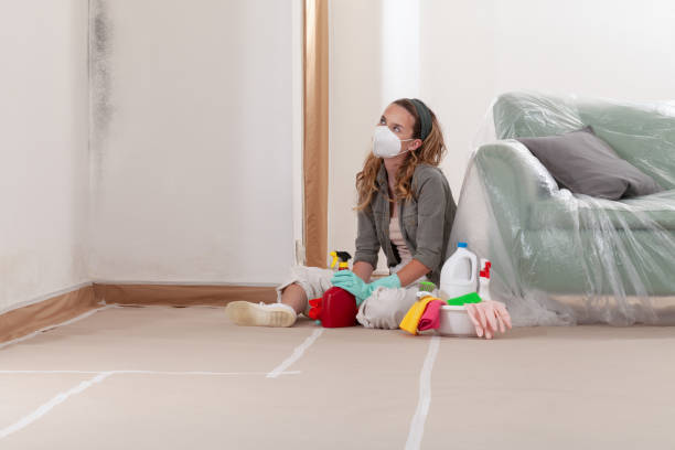 Reliable Mold Inspection contractor in Port Angeles, WA by WQB Mold Removal